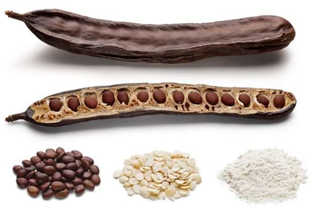 Locust Bean