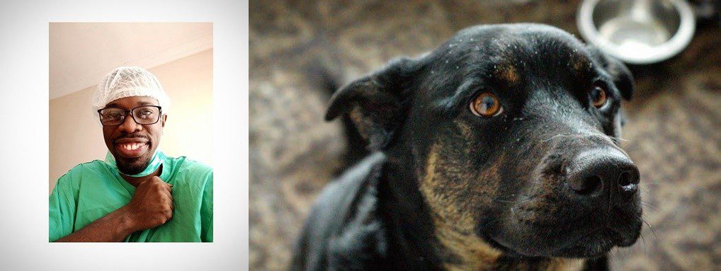 Nigerian doctor explains why dogs bark at night