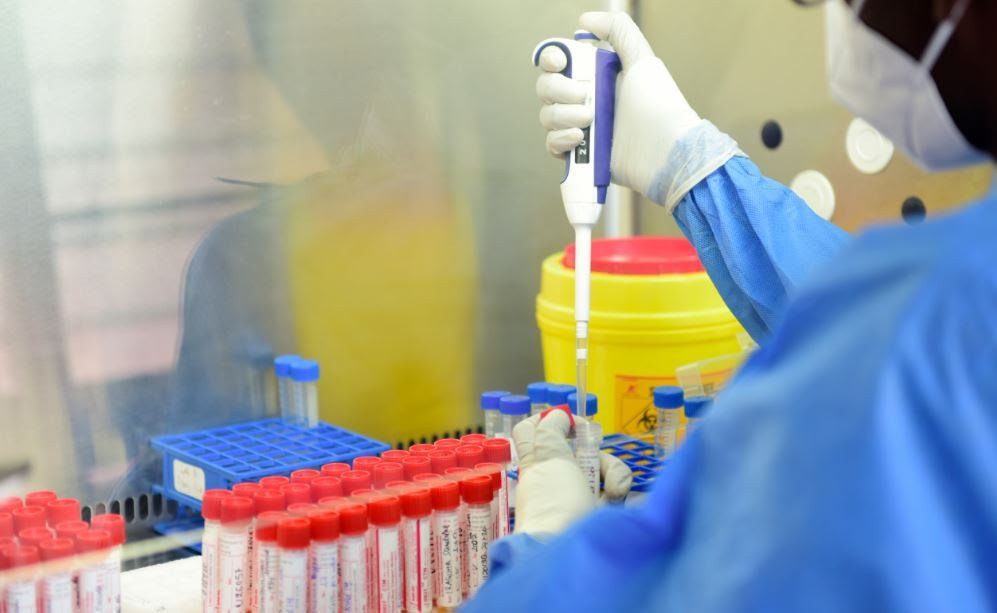 Paper on COVID-19