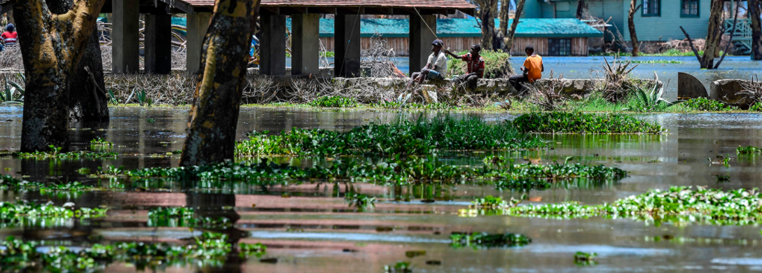 Africa Seeks $25 Billion for Climate Adaptation, Green Recovery