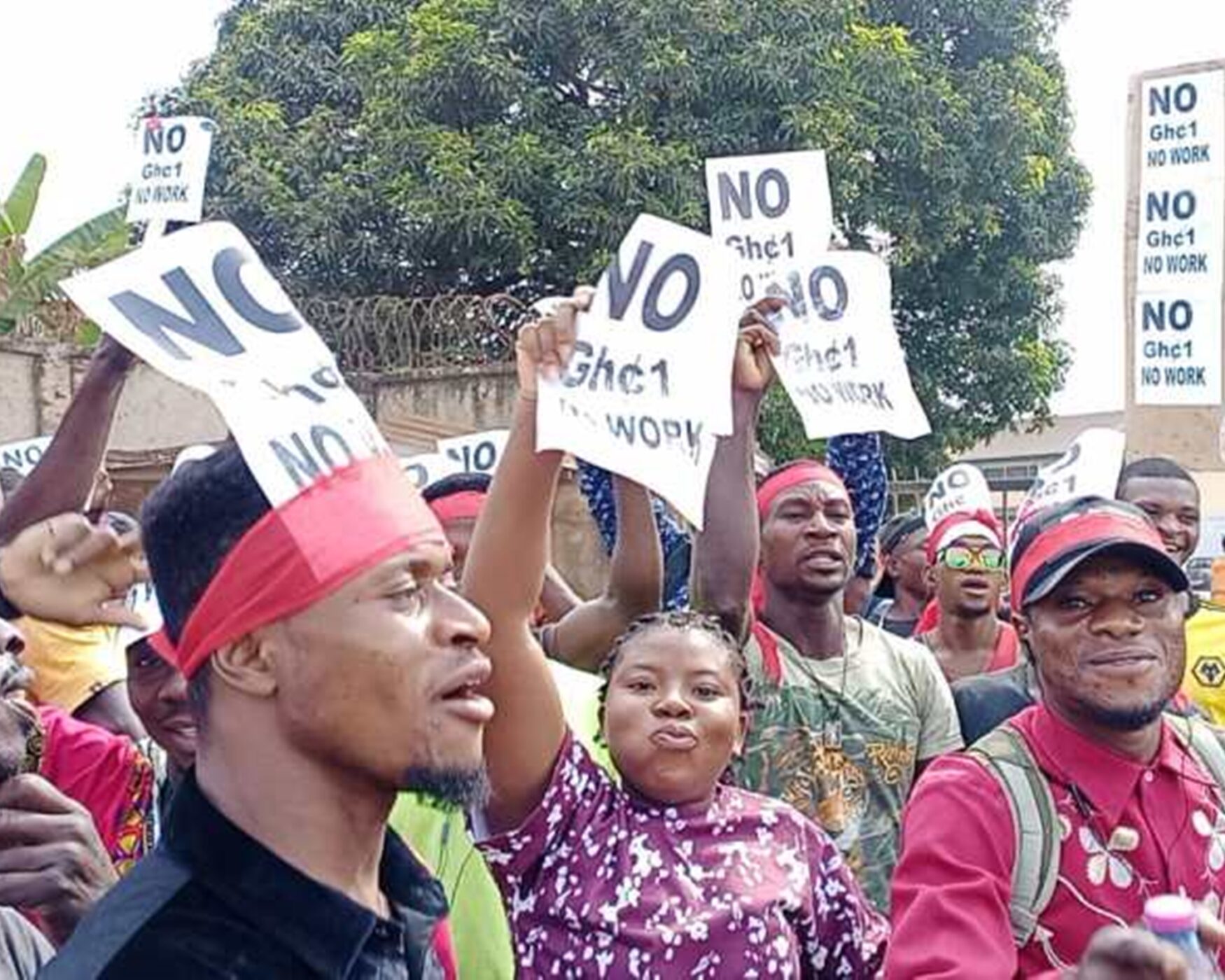 Tonnes of cocoa beans left to rot as carriers strike