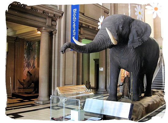 museums in Africa