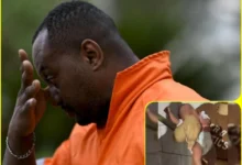 Garbage Collector Finds Newborn in Trash
