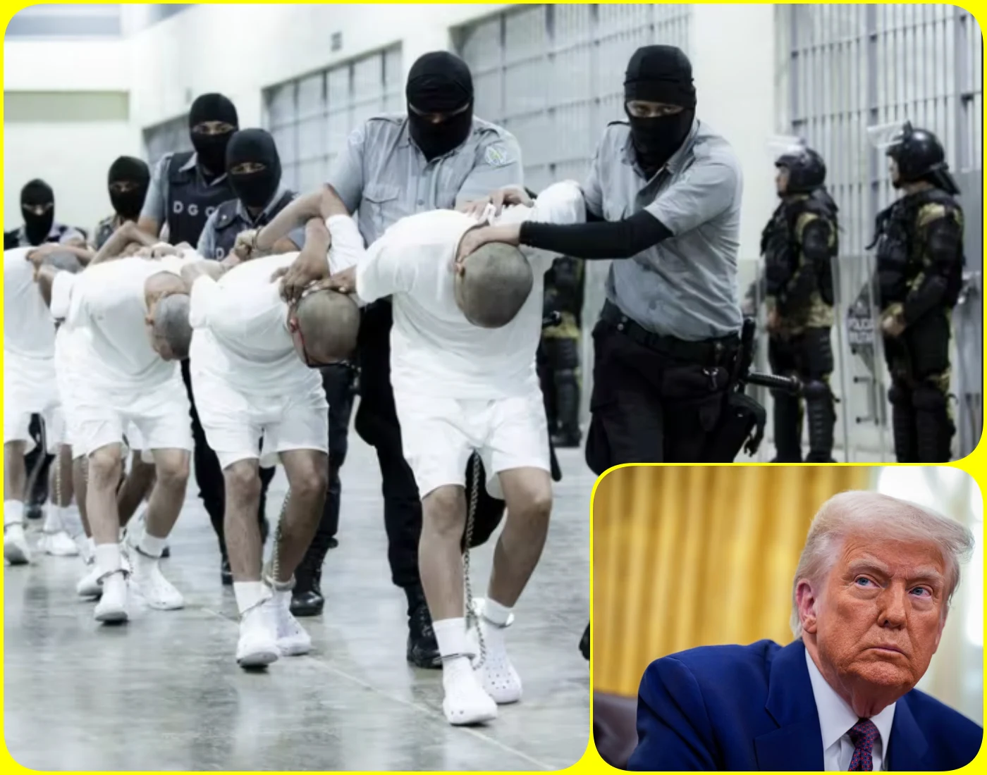 Trump deportation mistake