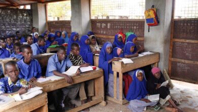 Dreams Beyond Borders: Youth-Led Stories Reshaping Education in Africa
