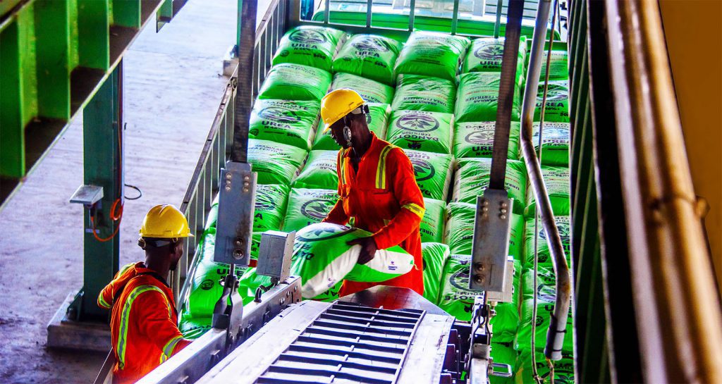 Dangote agriculture investment Africa