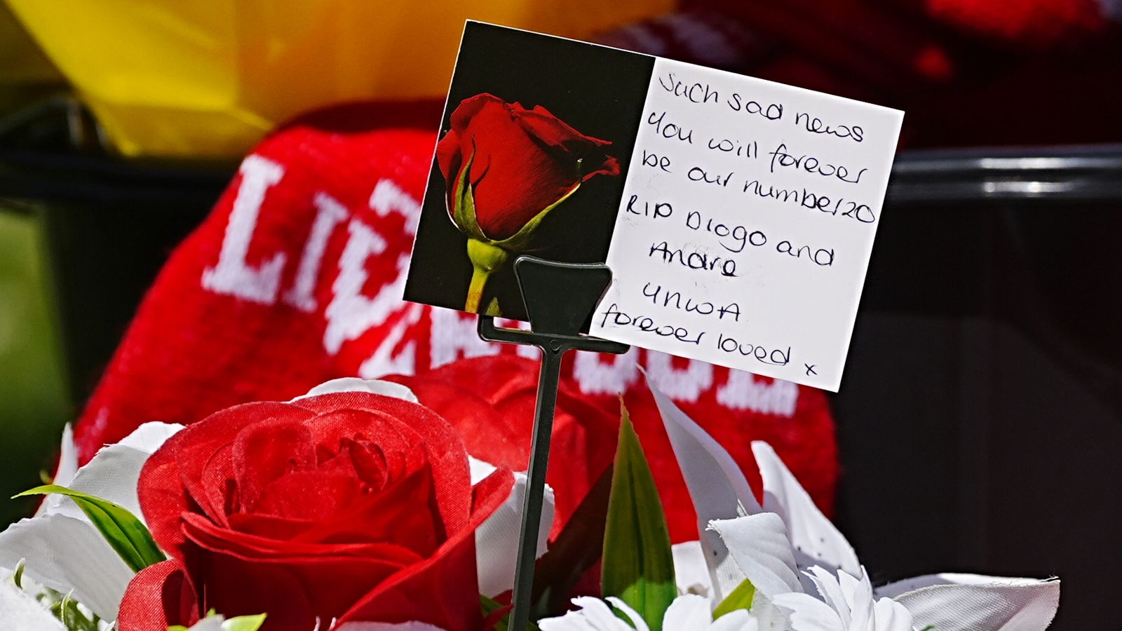 Diogo Jota car crash Spain