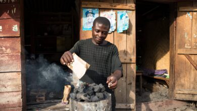 Africa carbon market