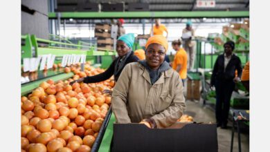 South Africa’s Citrus Crisis