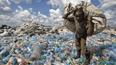 Kenya’s Climate Wake-Up Call