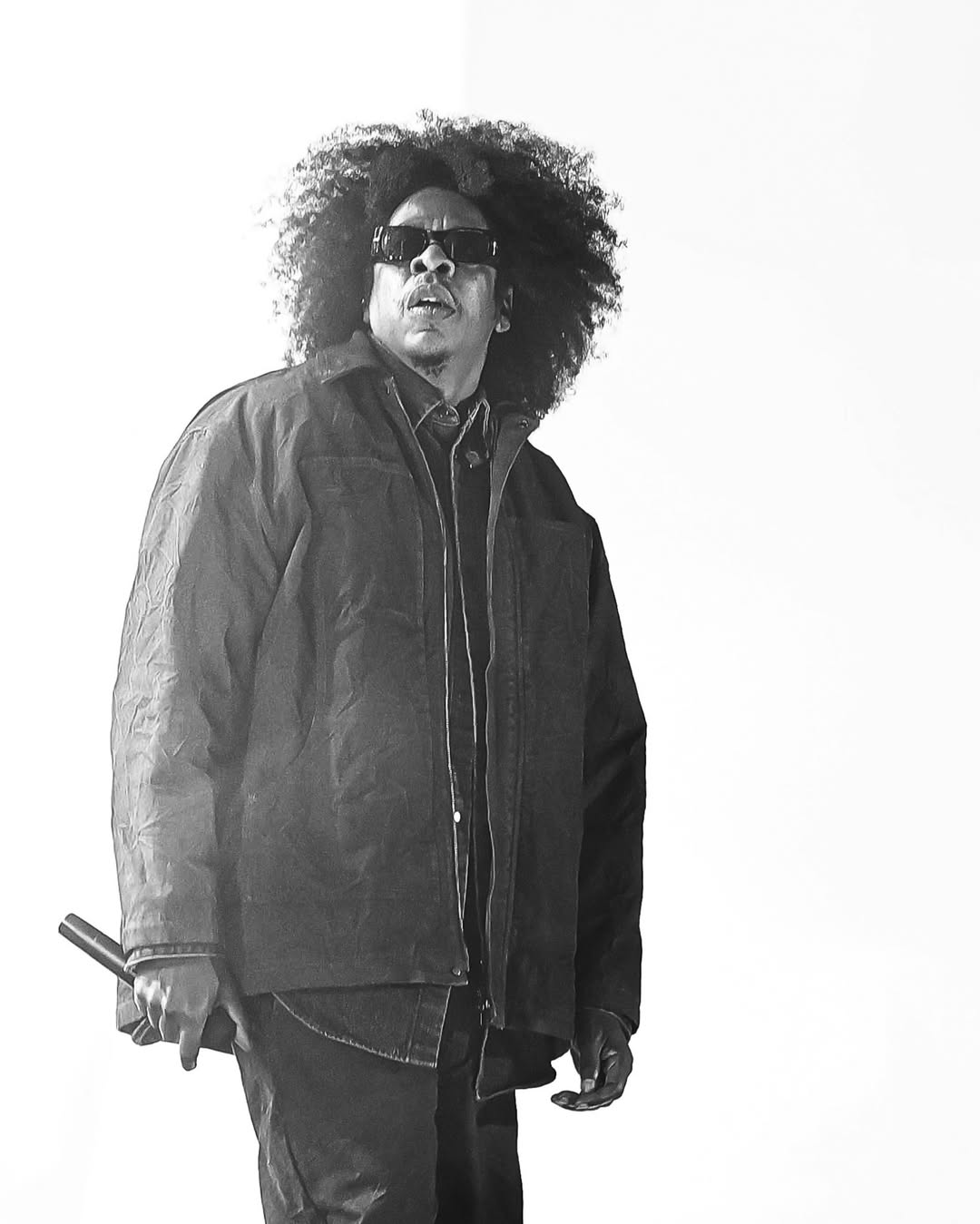 Jay-Z Roots Picnic