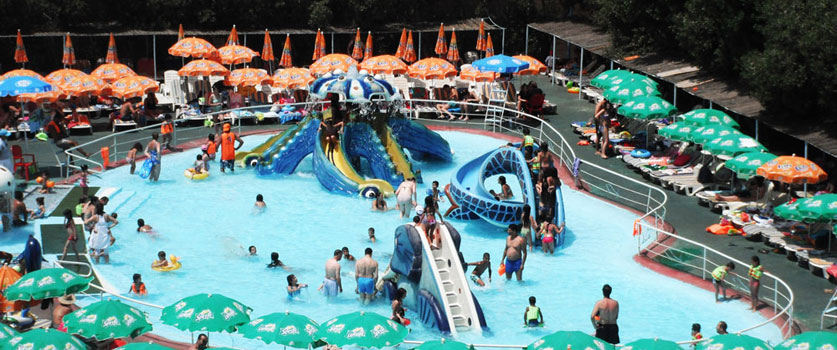 Visit Africa: Algeria projects tourism with Aqua Palm's oasis of happiness
